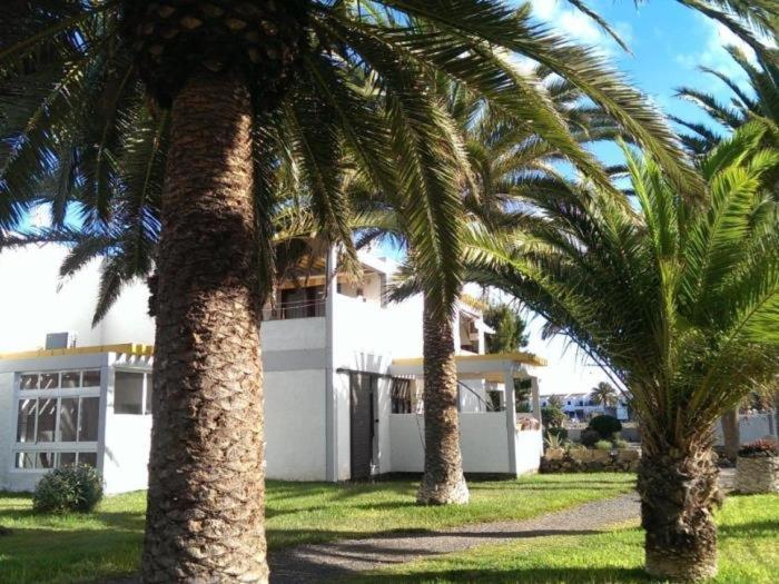 El Drago Apartment Fiber ,A/C,Near Ocean Costa Del Silencio Kültér fotó